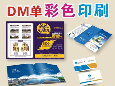 淅川单页印刷，色彩搭配简单。